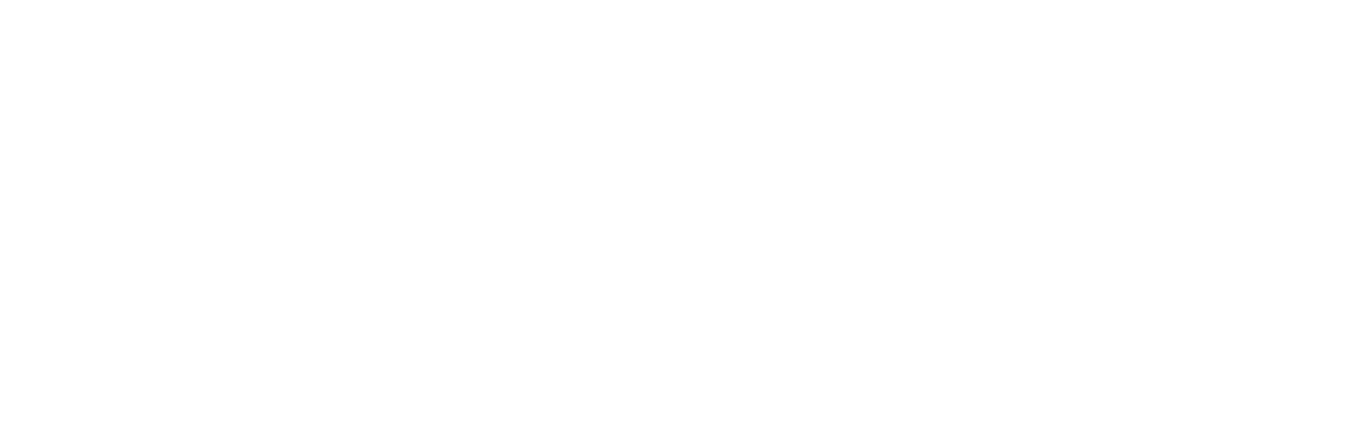 elevation white logo