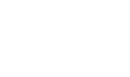 test Elevation Women's Healthcare