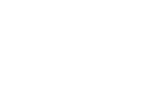 Website Icons WIX 7 Elevation Women's Healthcare